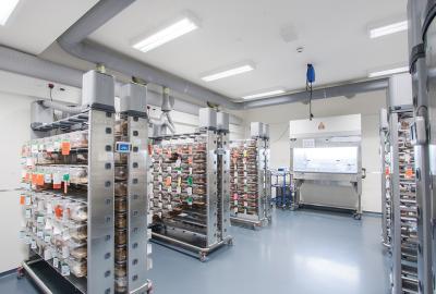 實驗動物機(jī)構(gòu)職業(yè)健康安全概念與管理要點會議報道